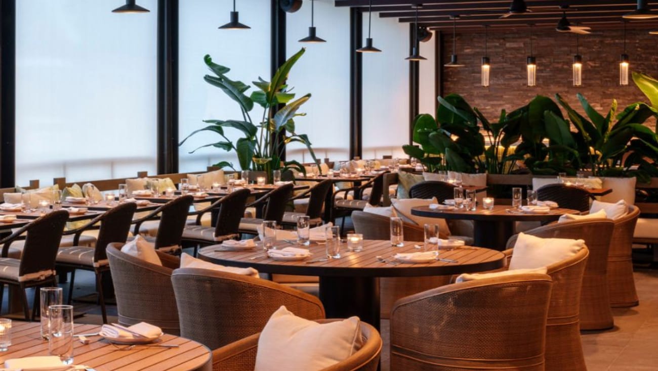 أفضل مطاعم نباتية في الدمام تُقدّم نكهات تفوق التوقّع