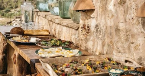 الضيافة التجديدية